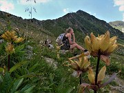 44 In salita dalla Val Grande al Passo di Tartano e Cima di Lemma con Gentiana punctata (Genziana maculata)